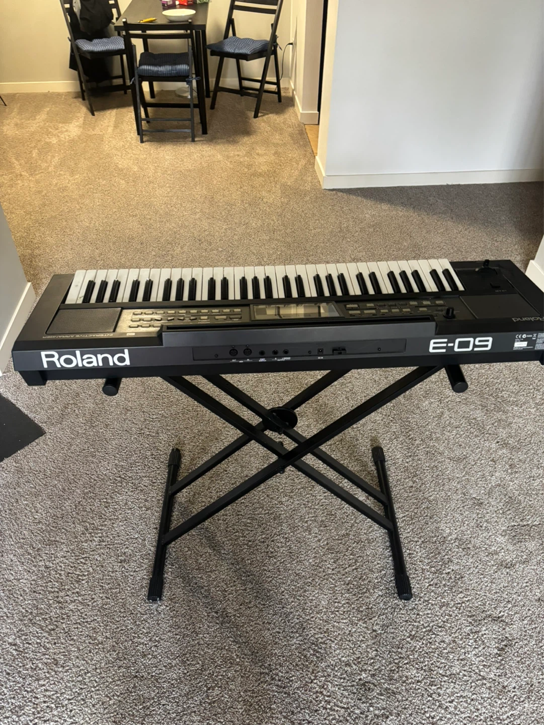 Roland E-09 Interactive Arranger Keyboard - photo 3