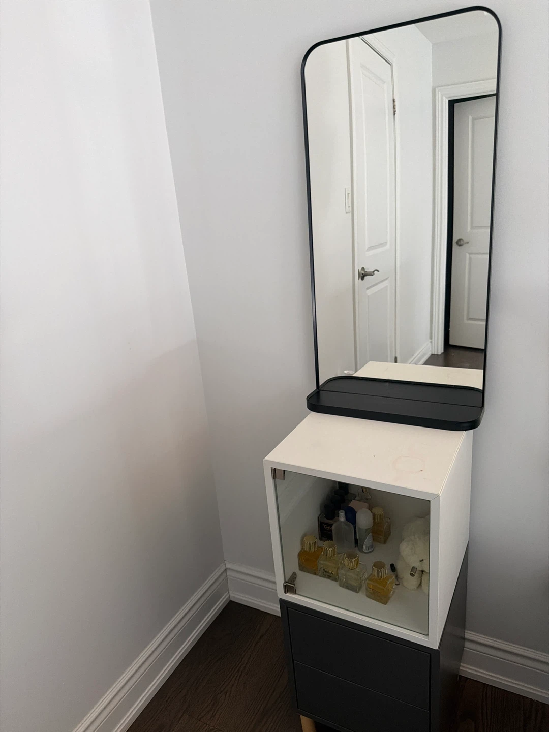 Standing Mirror with Storage Unit
