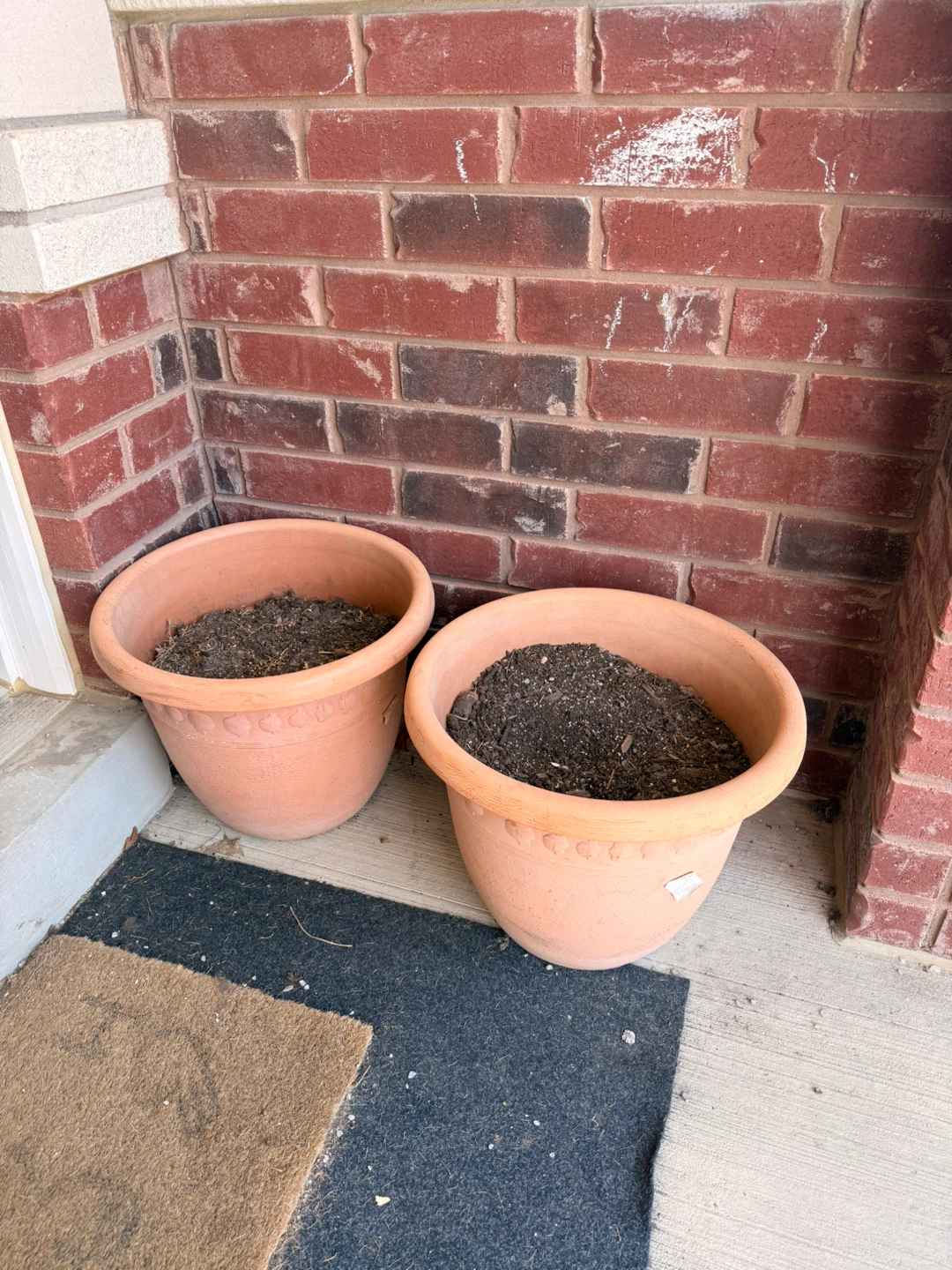 Terracotta Planters (Set of 2)
