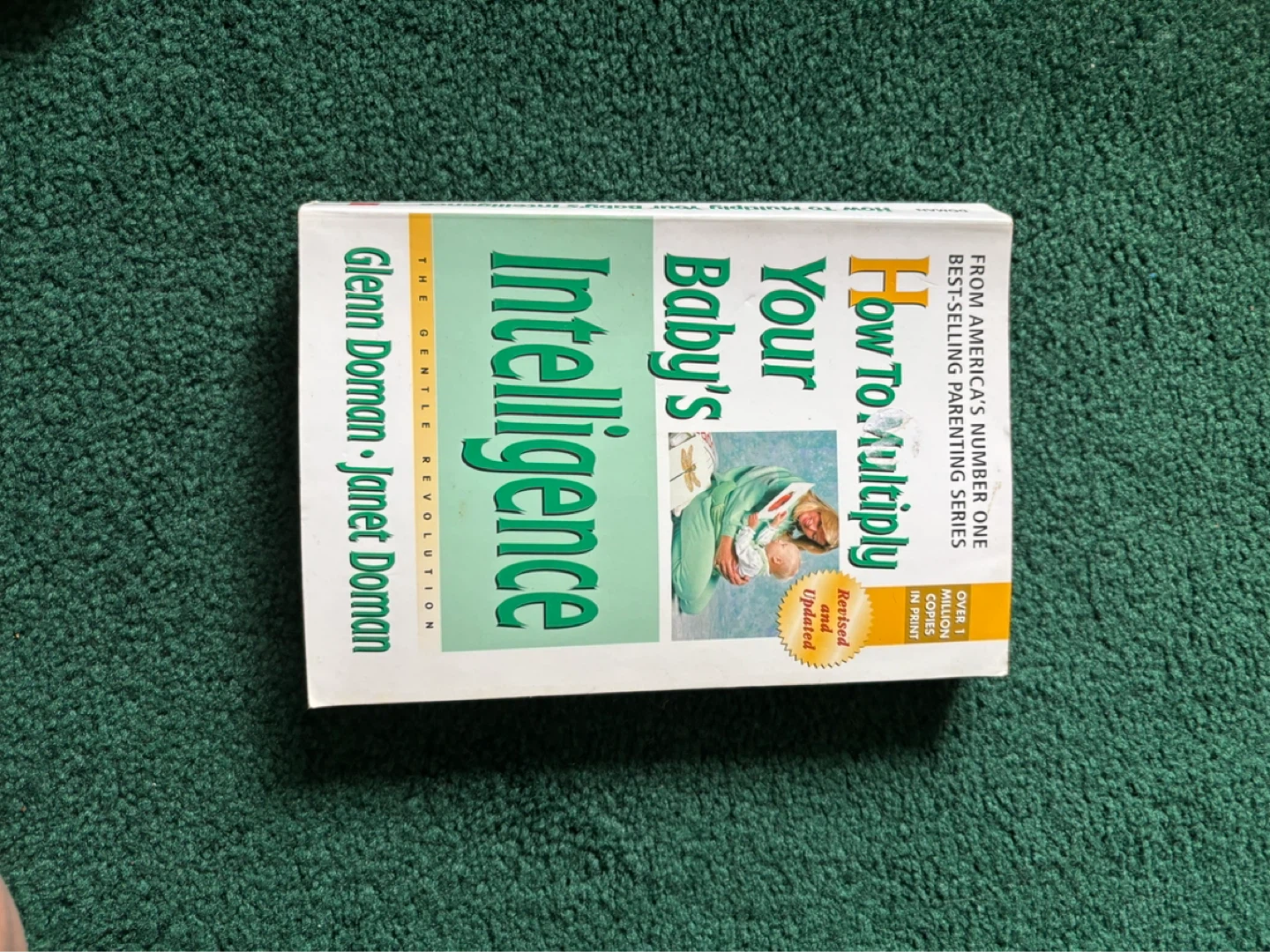 How To Multiply Your Baby's Intelligence Book