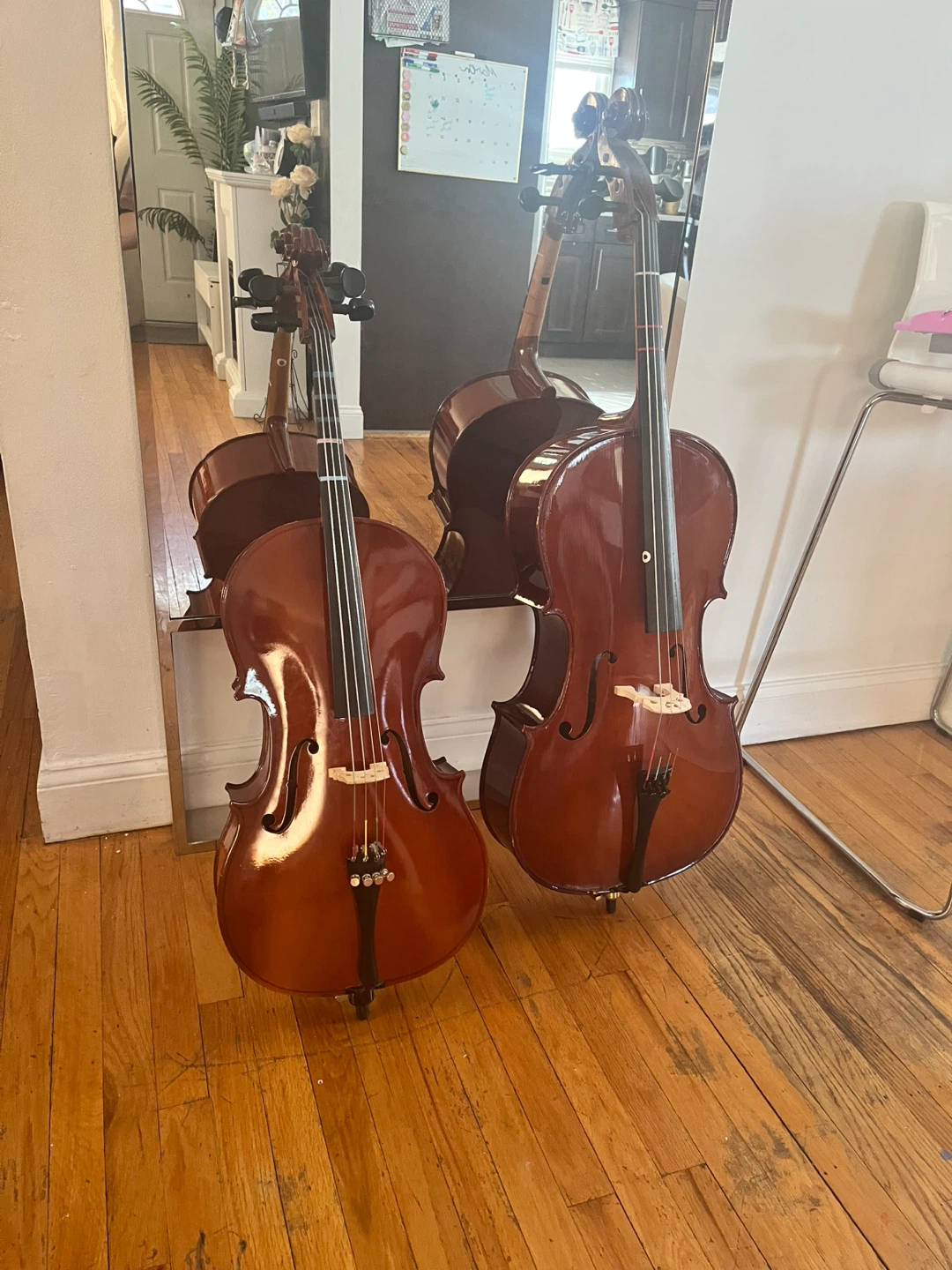2 Cellos with Cases