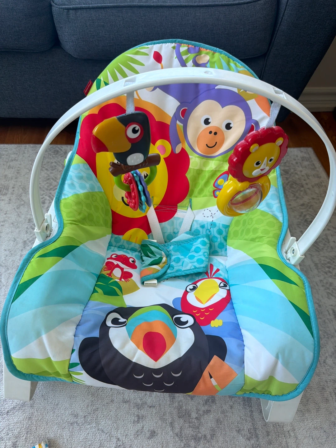 Fisher-Price Infant Rocker