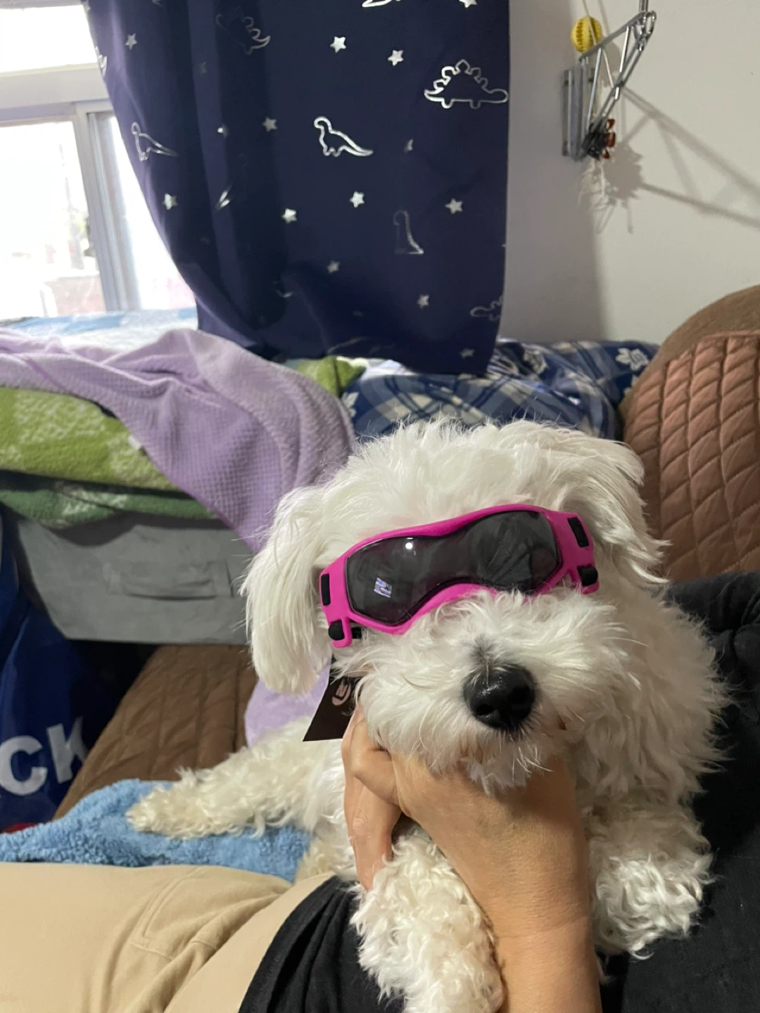 Pink Dog Goggles / Sunglasses - photo 3