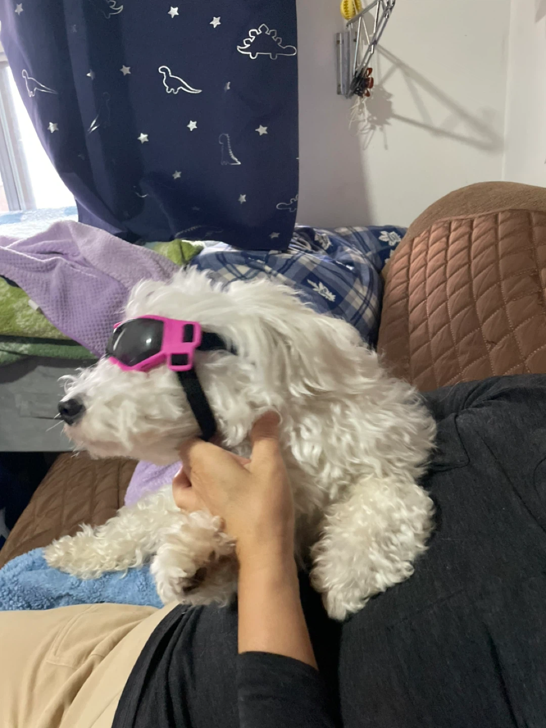 Pink Dog Goggles / Sunglasses - photo 4