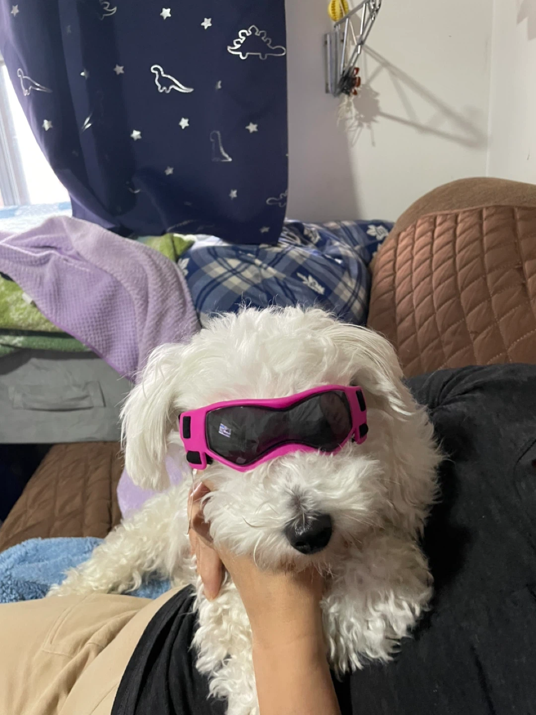 Pink Dog Goggles / Sunglasses - photo 2