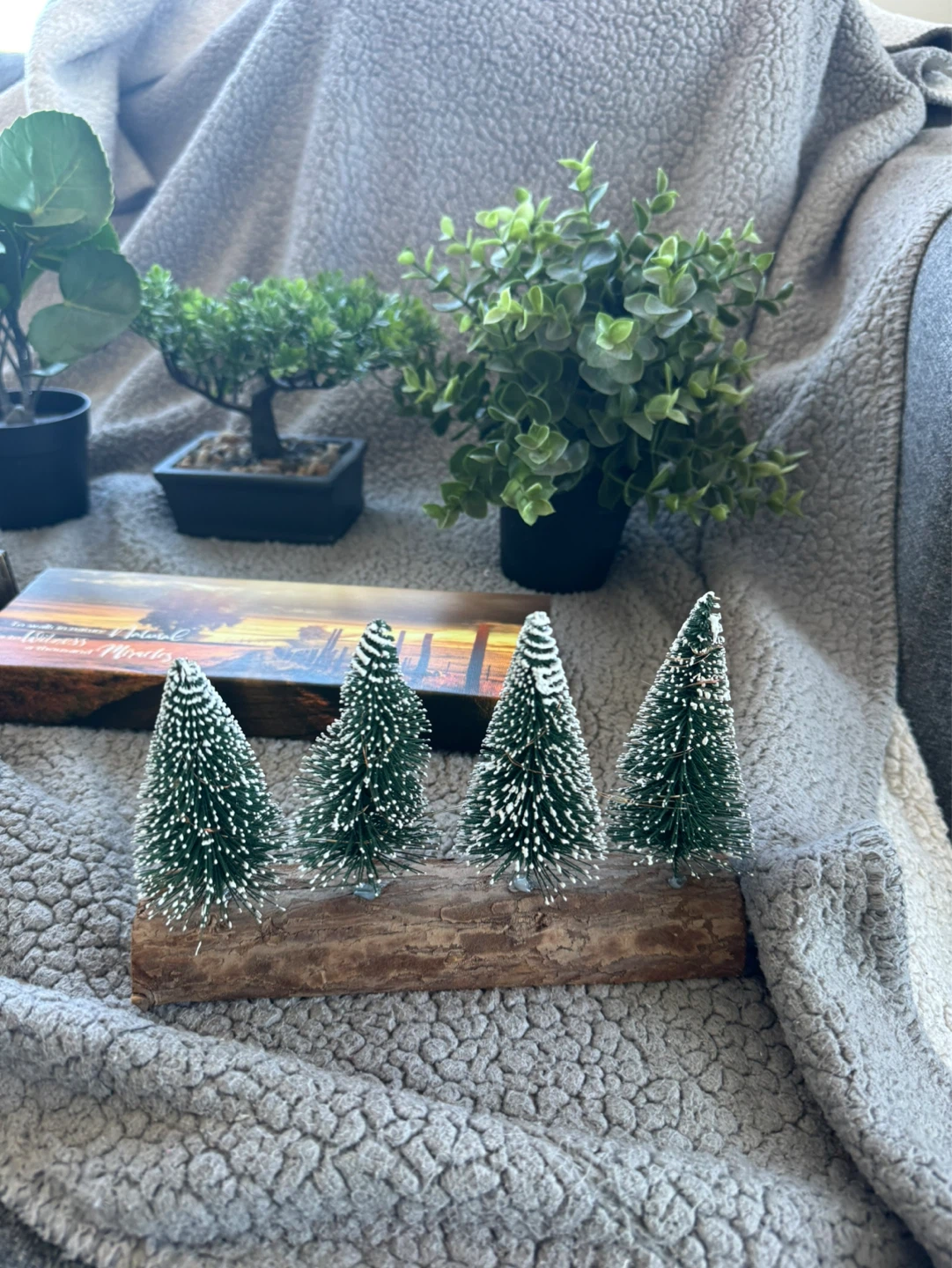 Artificial Potted Plant - all for $20 - photo 5
