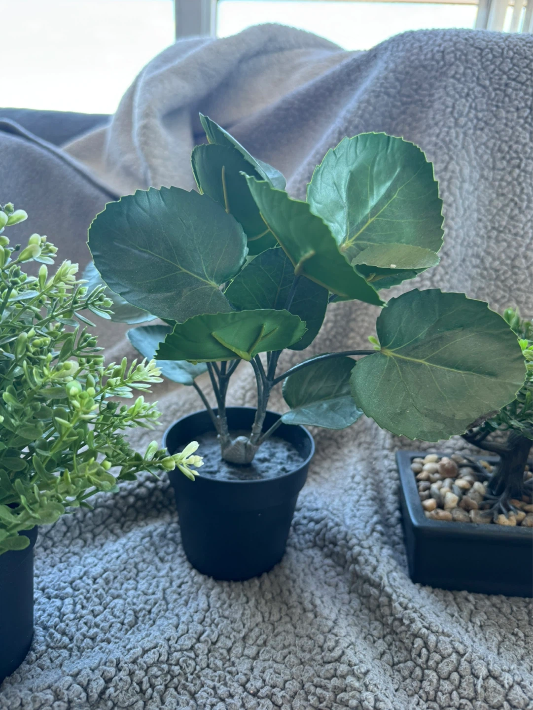 Artificial Potted Plant - all for $20 - photo 3
