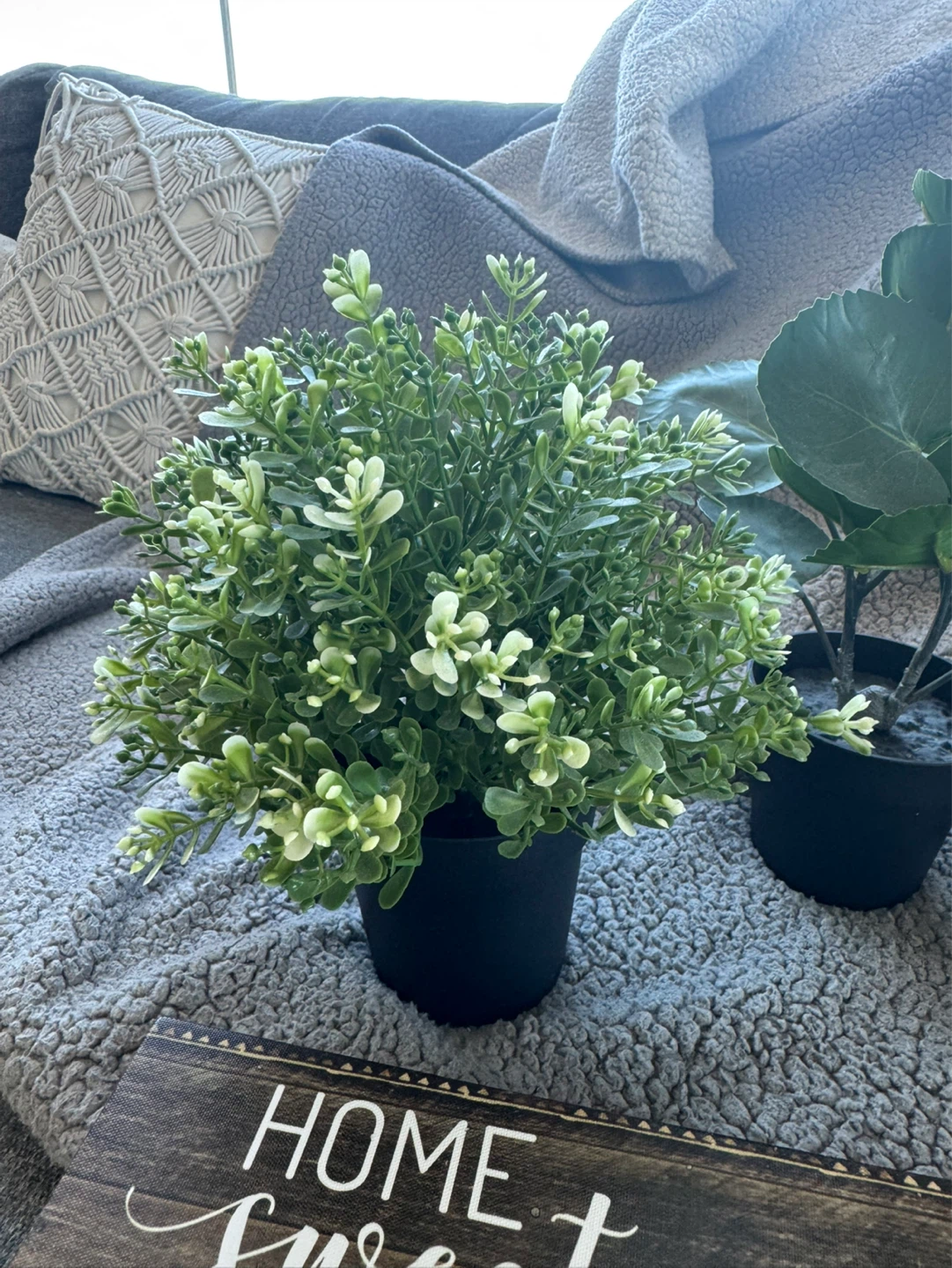 Artificial Potted Plant - all for $20 - photo 2