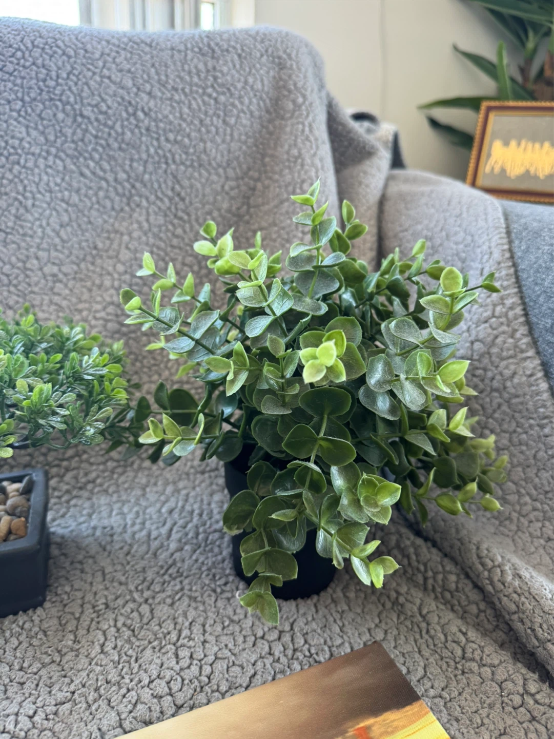 Artificial Potted Plant - all for $20 - photo 4