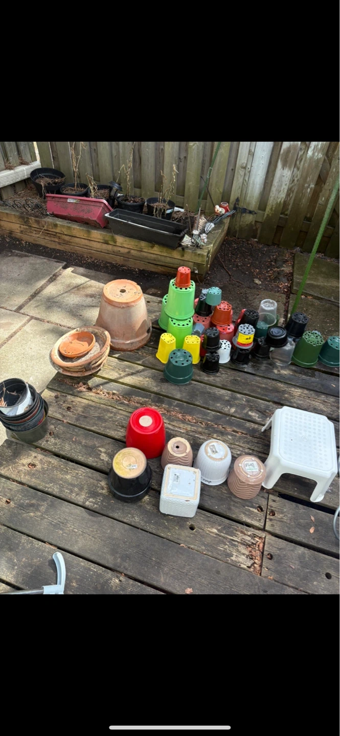 Assorted Plant Pots and Trays