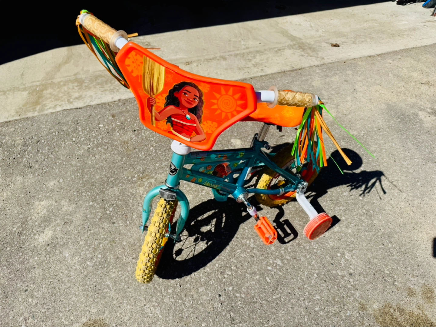 Kids Moana Bike with Training Wheels