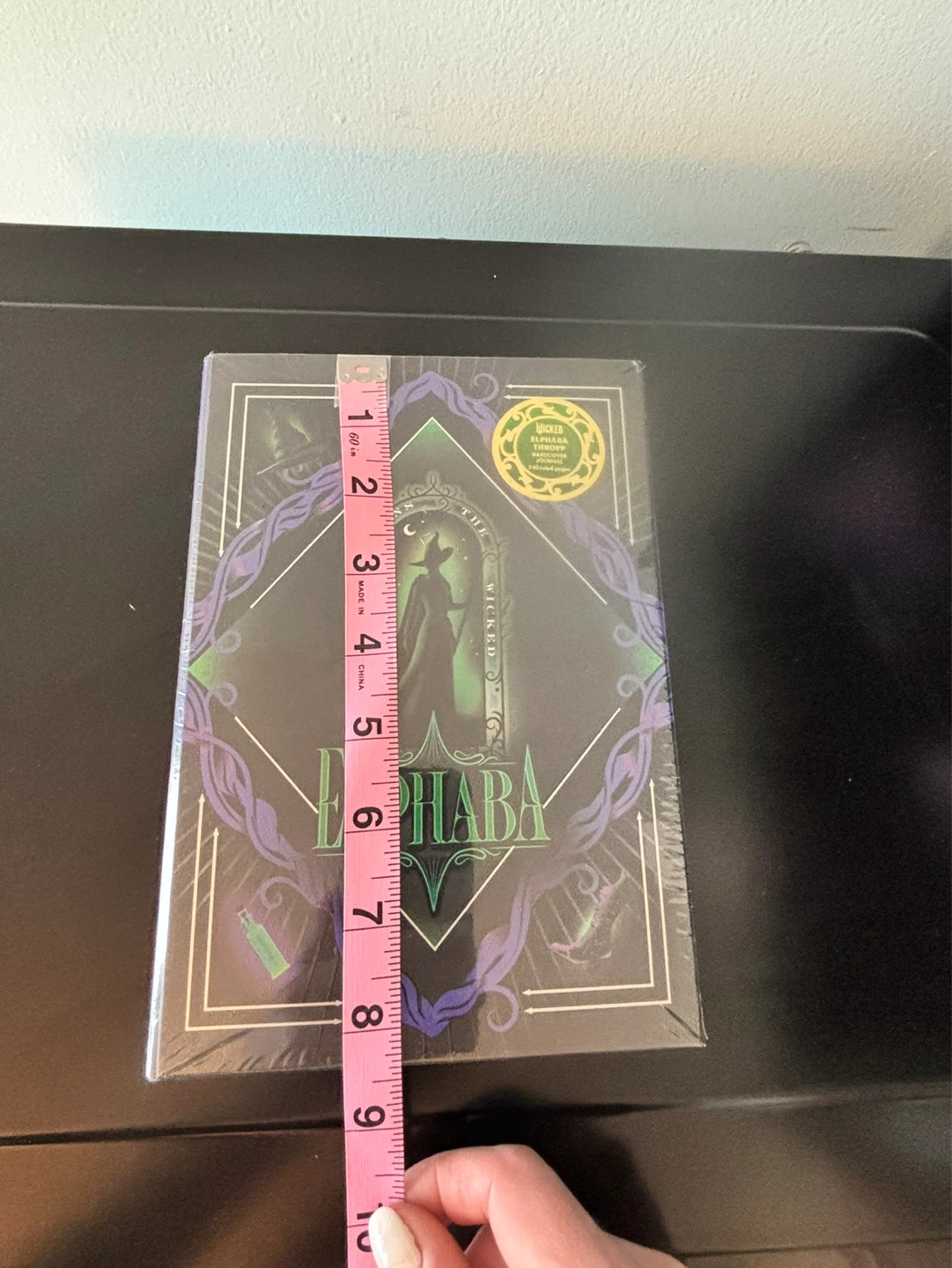 Wicked Elphaba Thropp Hardcover Journal - photo 5