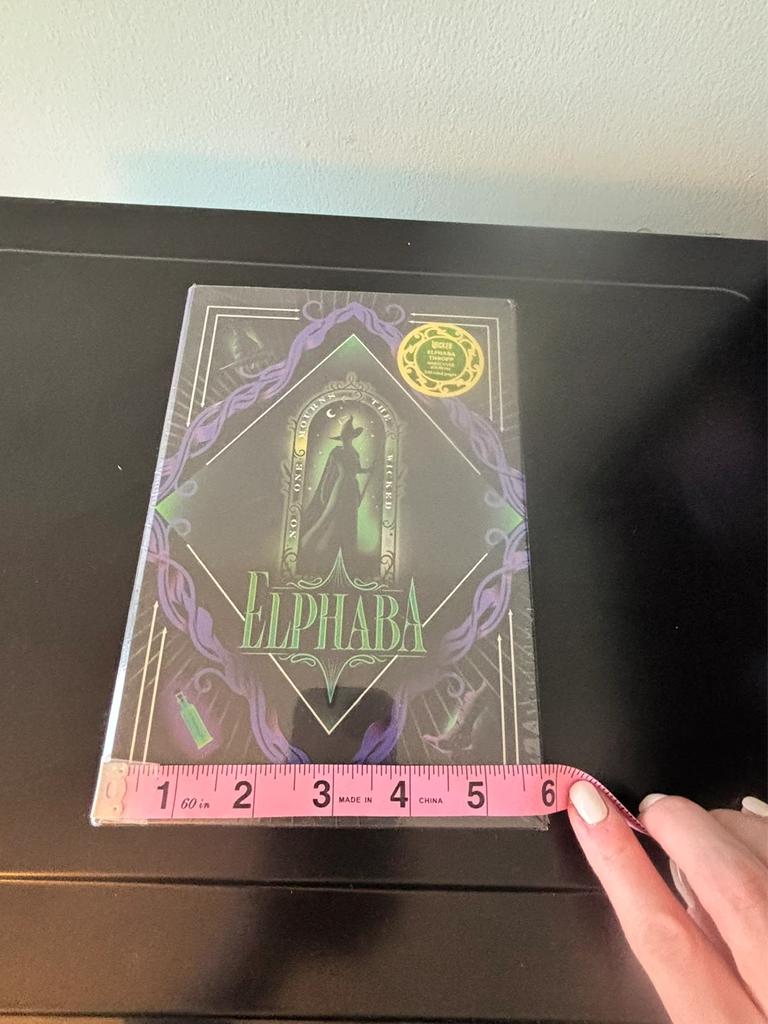 Wicked Elphaba Thropp Hardcover Journal - photo 4