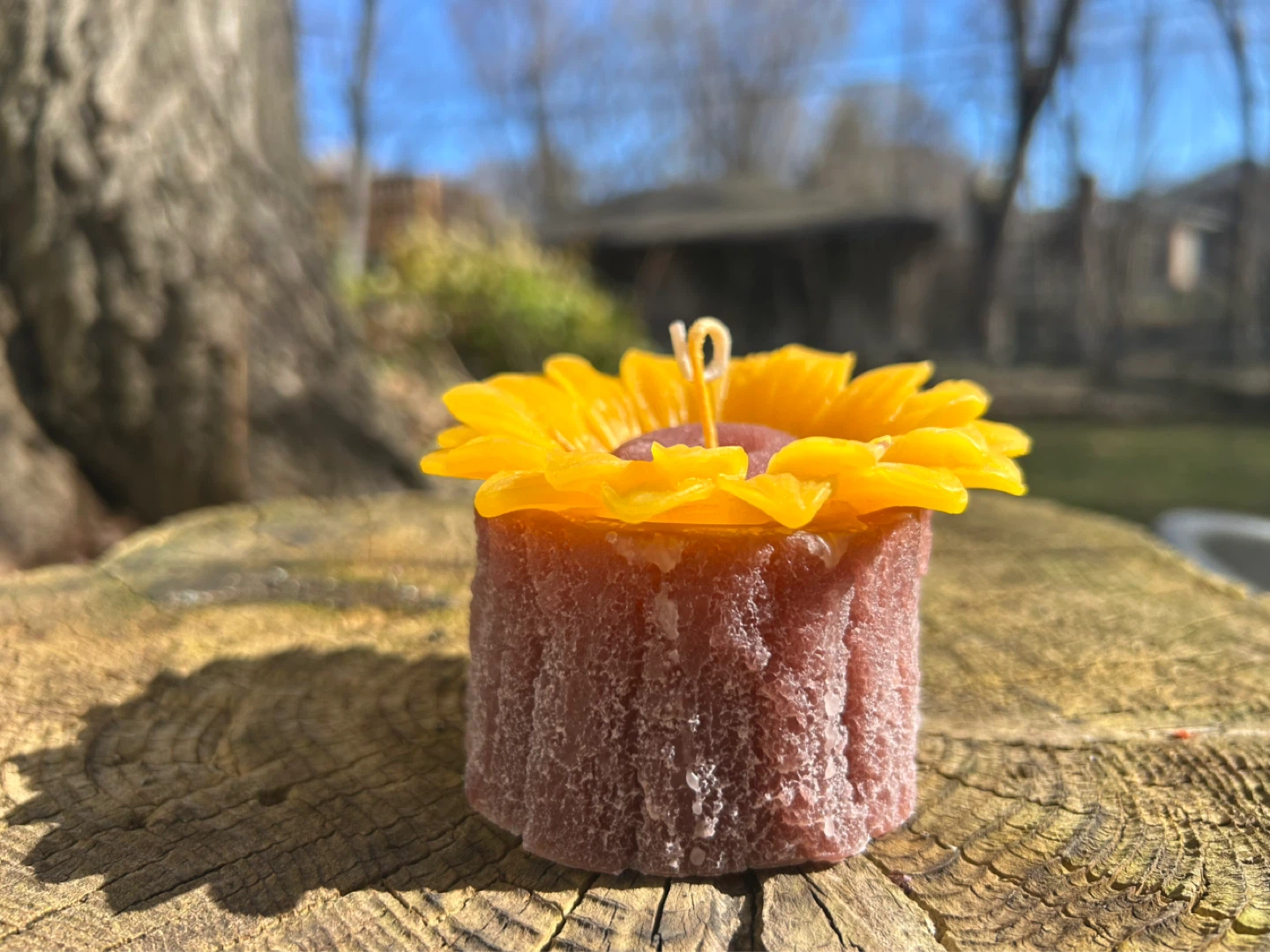 Handmade Sunflower Candle – $15 CAD each 🌻 - photo 2