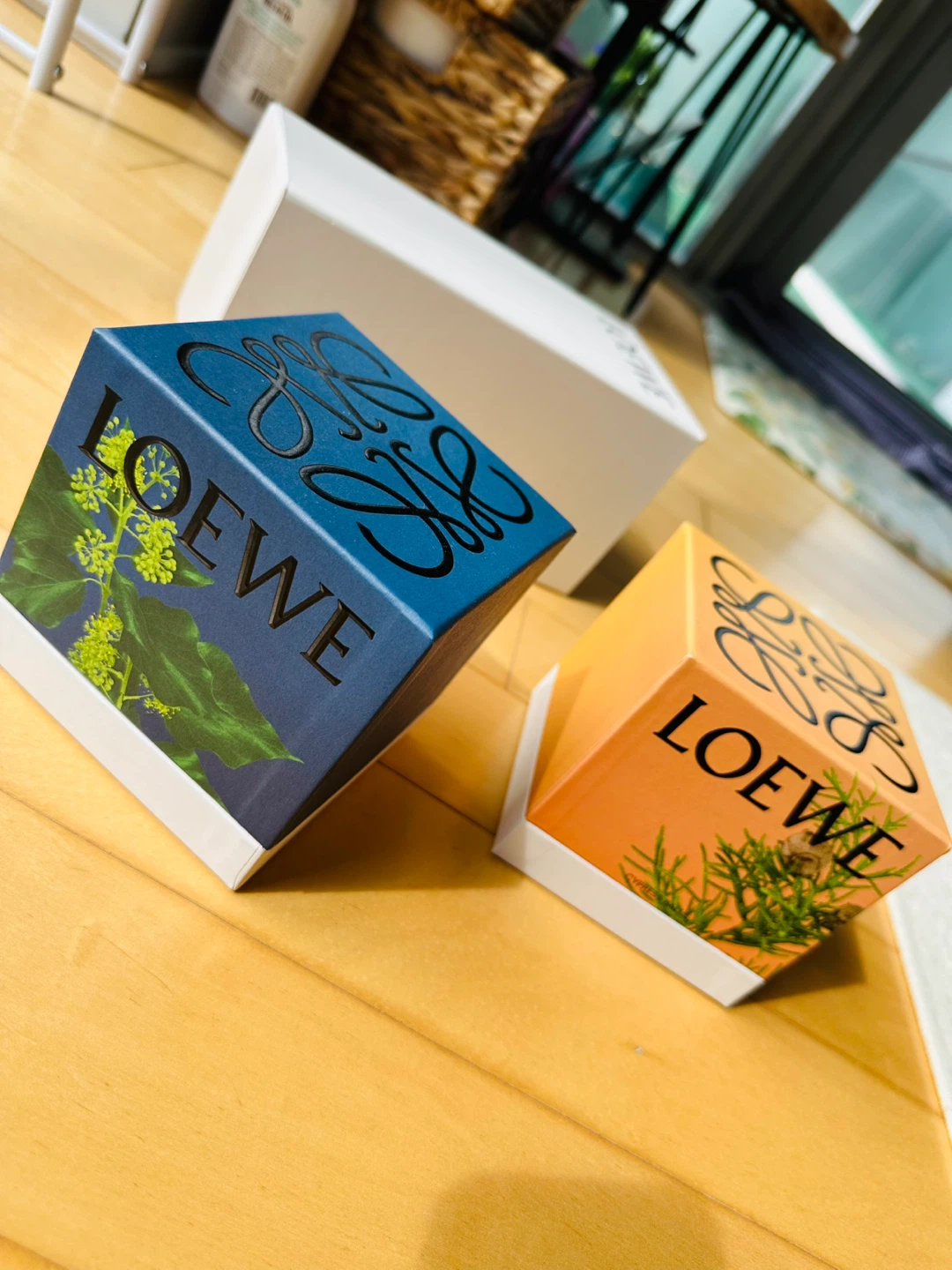 Loewe Gift Boxes Set