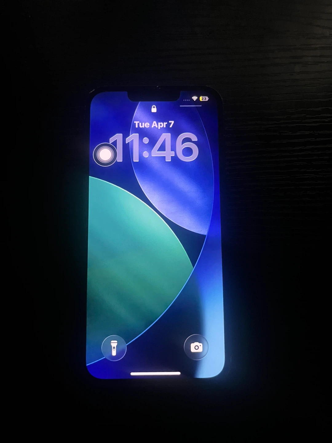 Apple iPhone 13 Pro Max - photo 4