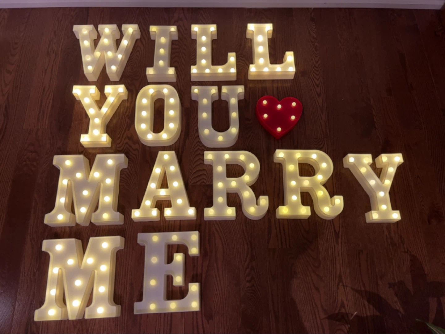 Light-up "Will You Marry Me" Proposal Marquee Letters - photo 2