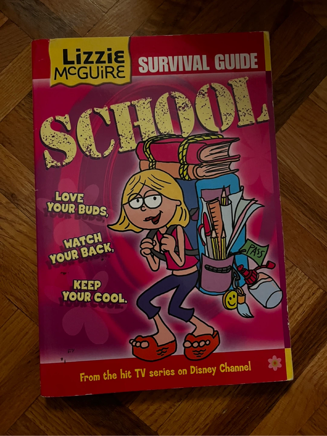 Lizzie McGuire School Survival Guide Book