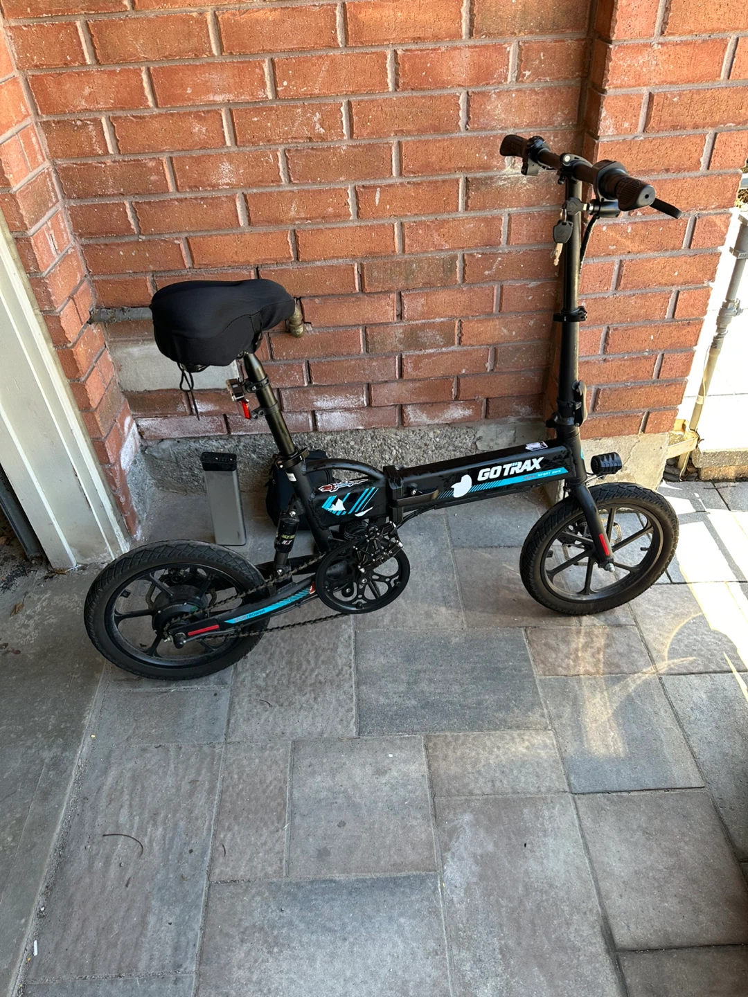 GoTrax EBE1 Electric Bike