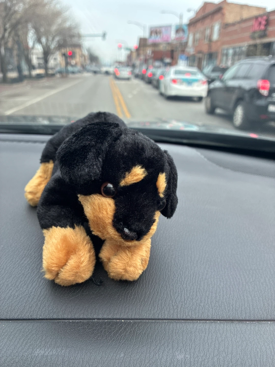 Plush Dog Toy