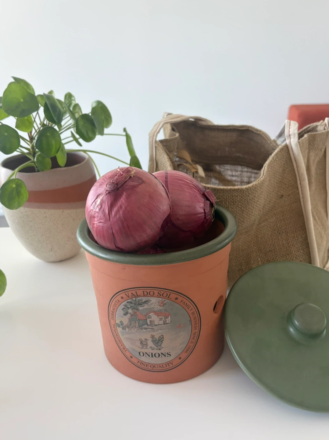 Val do Sol Terracotta Onion Storage Pot - photo 5