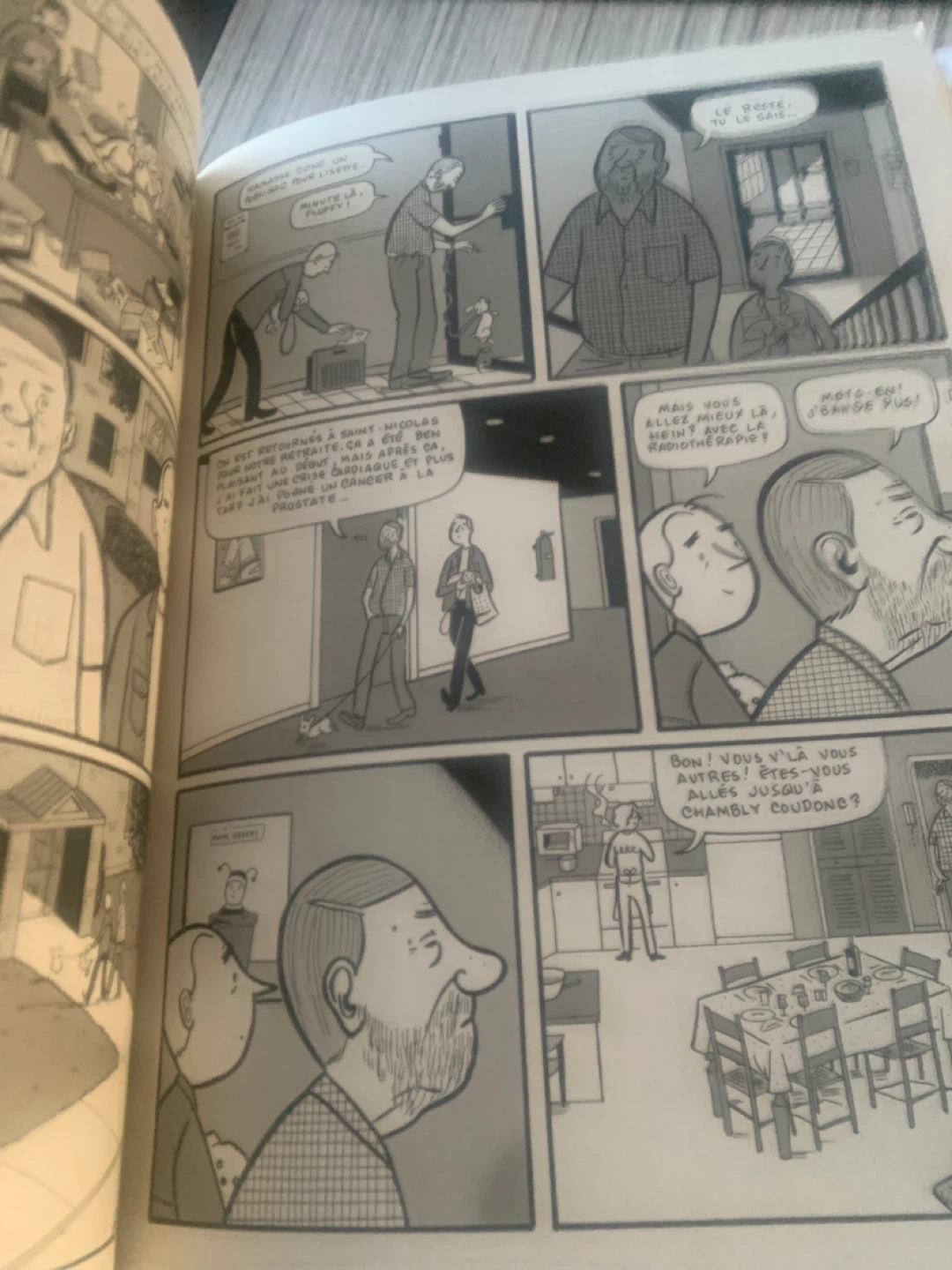 Paul à Québec graphic novel by Michel Rabagliati - photo 2