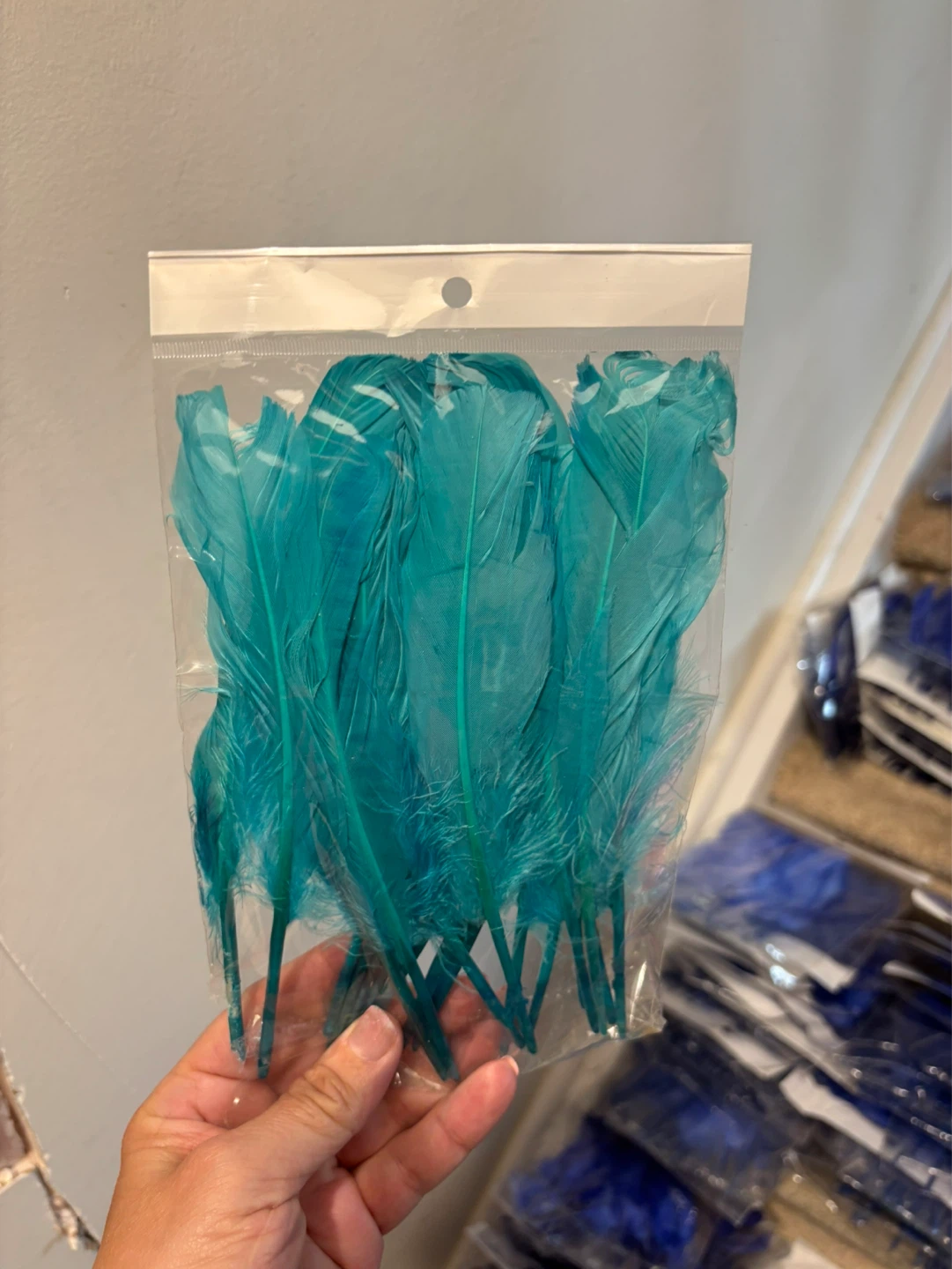 Colorful Feathers Bulk Craft Supplies - photo 4