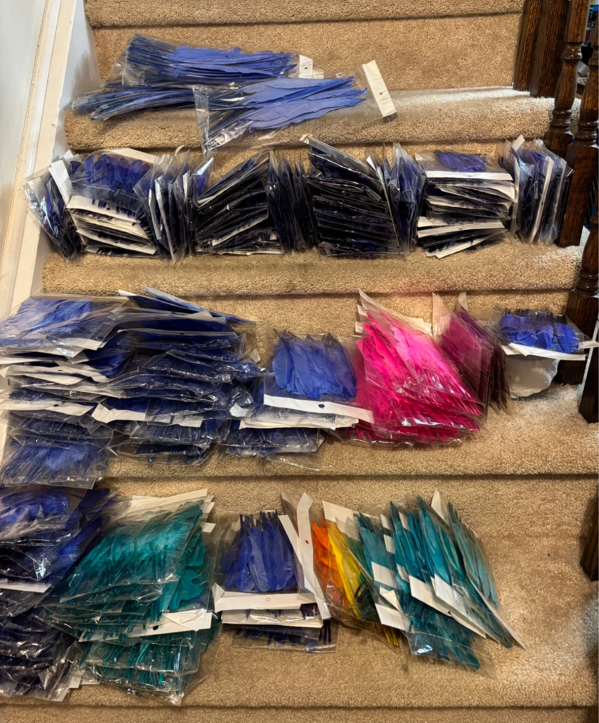 Colorful Feathers Bulk Craft Supplies