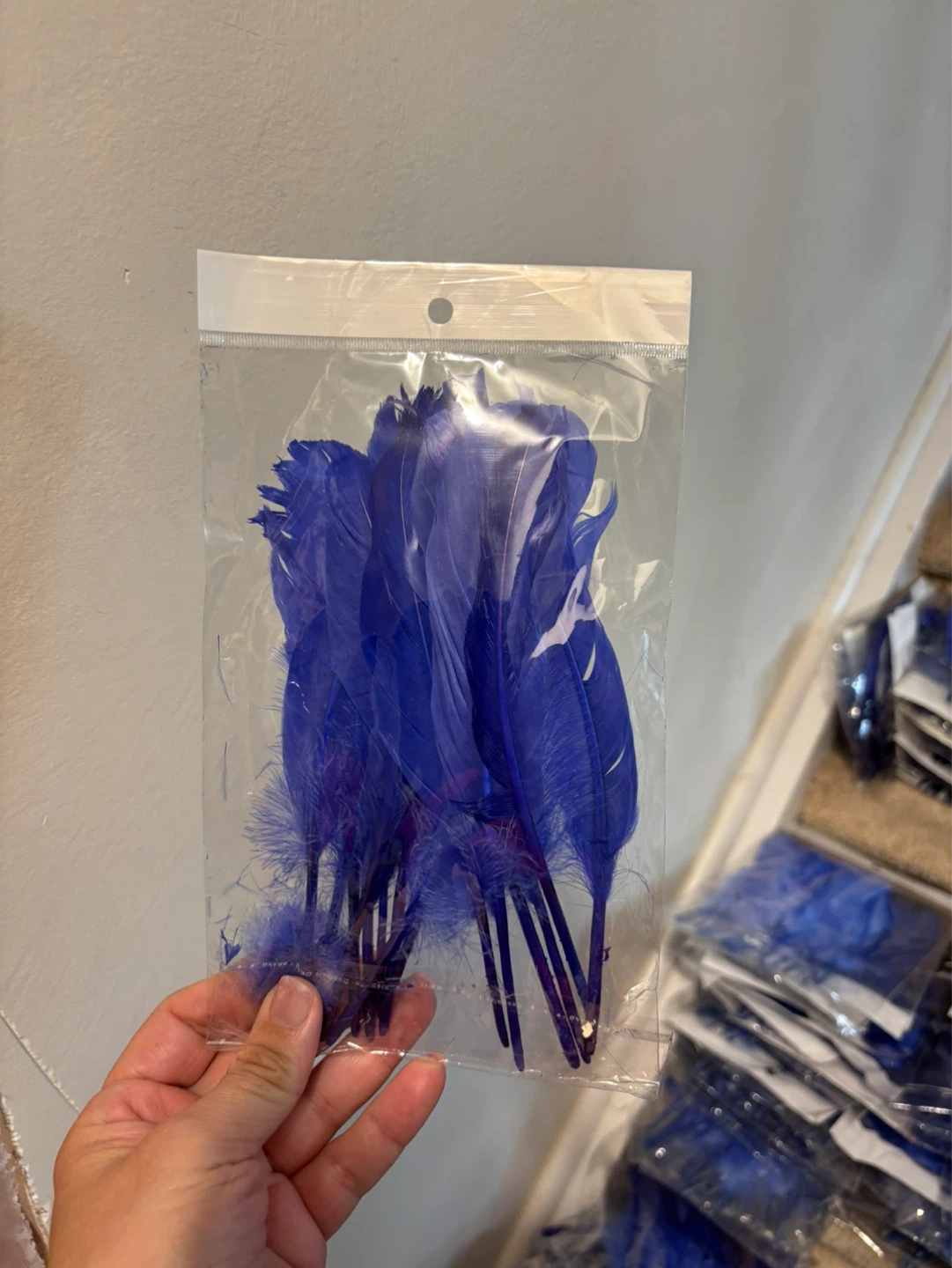 Colorful Feathers Bulk Craft Supplies - photo 5