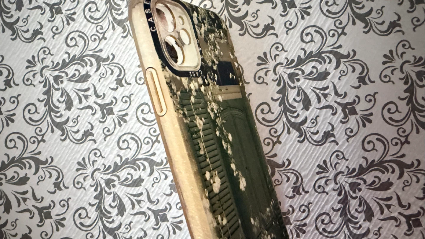 Casetify Phone Case for iPhone 11.