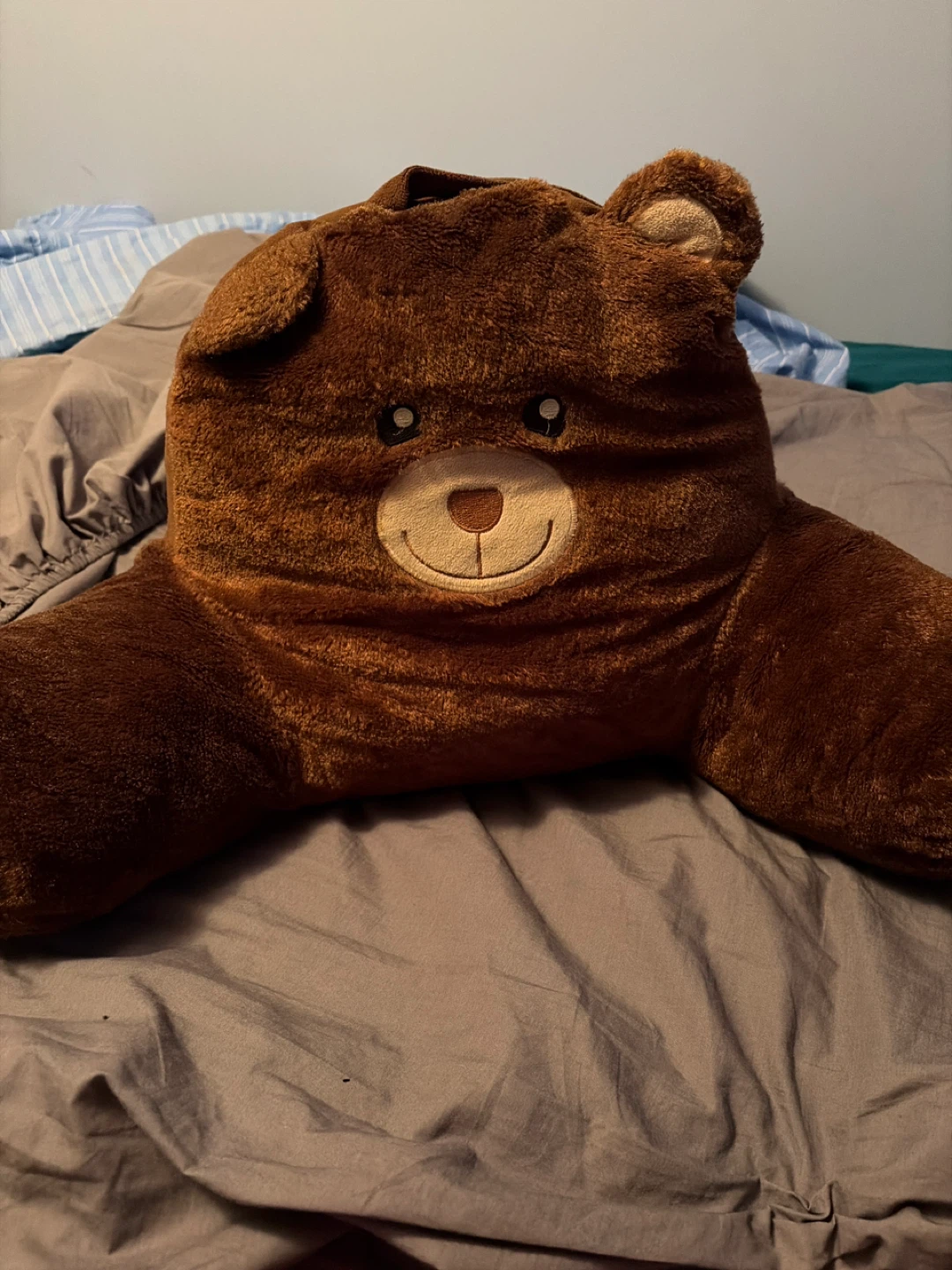 Brown Teddy Bear Plush Pillow
