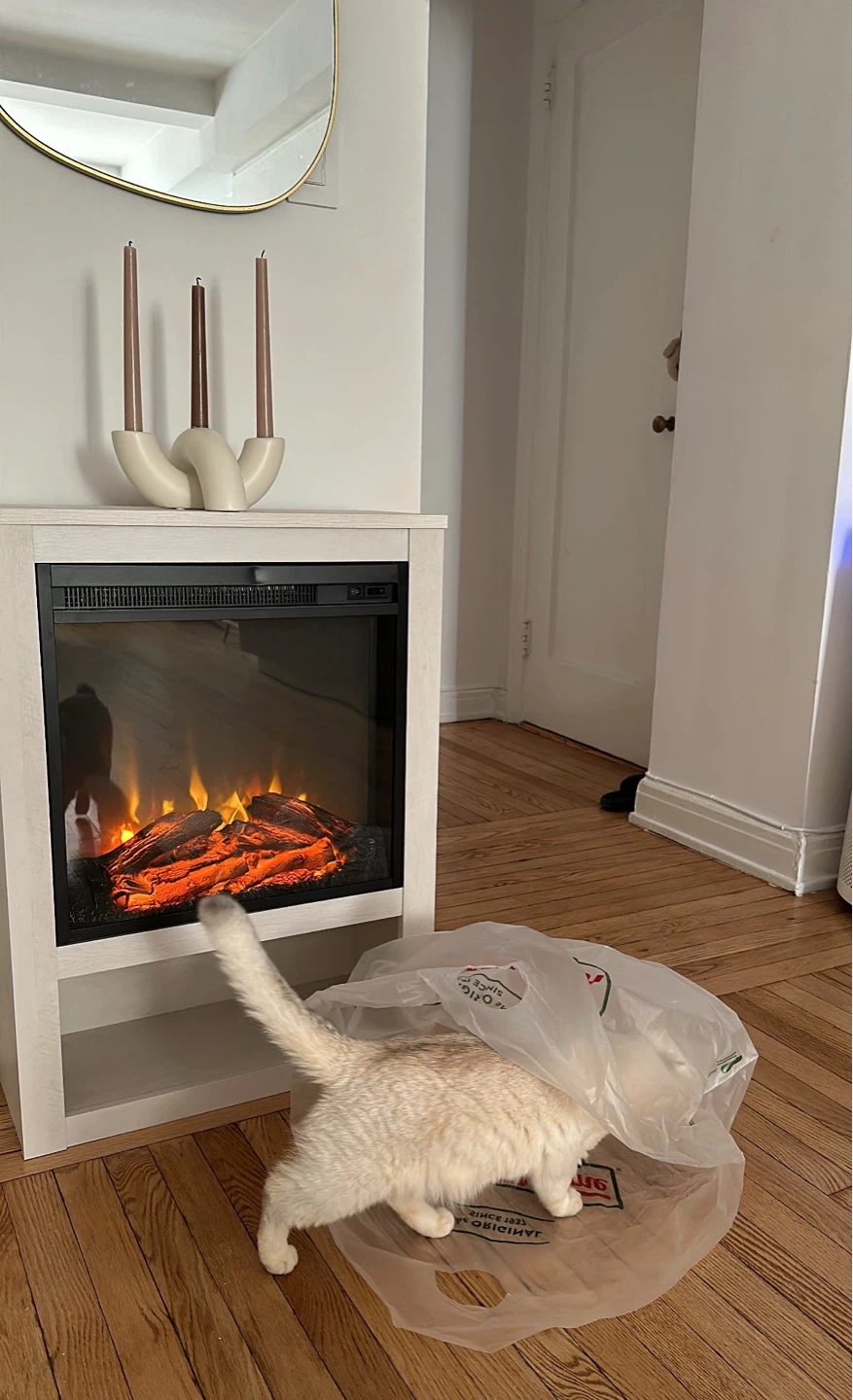 Modern Electric Fireplace Heater