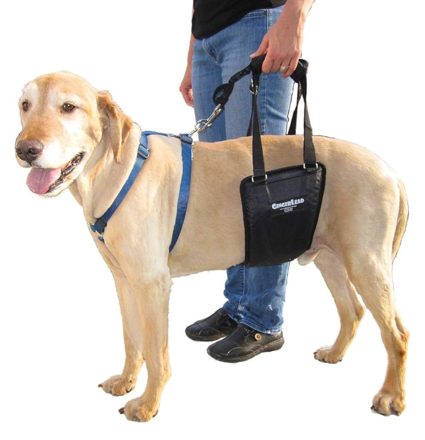 GingerLEAD Dog Lift Harness - Medium/Large