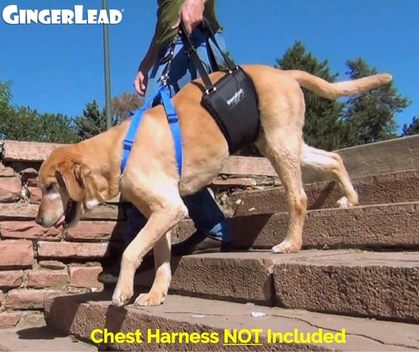 GingerLEAD Dog Lift Harness - Medium/Large - photo 4
