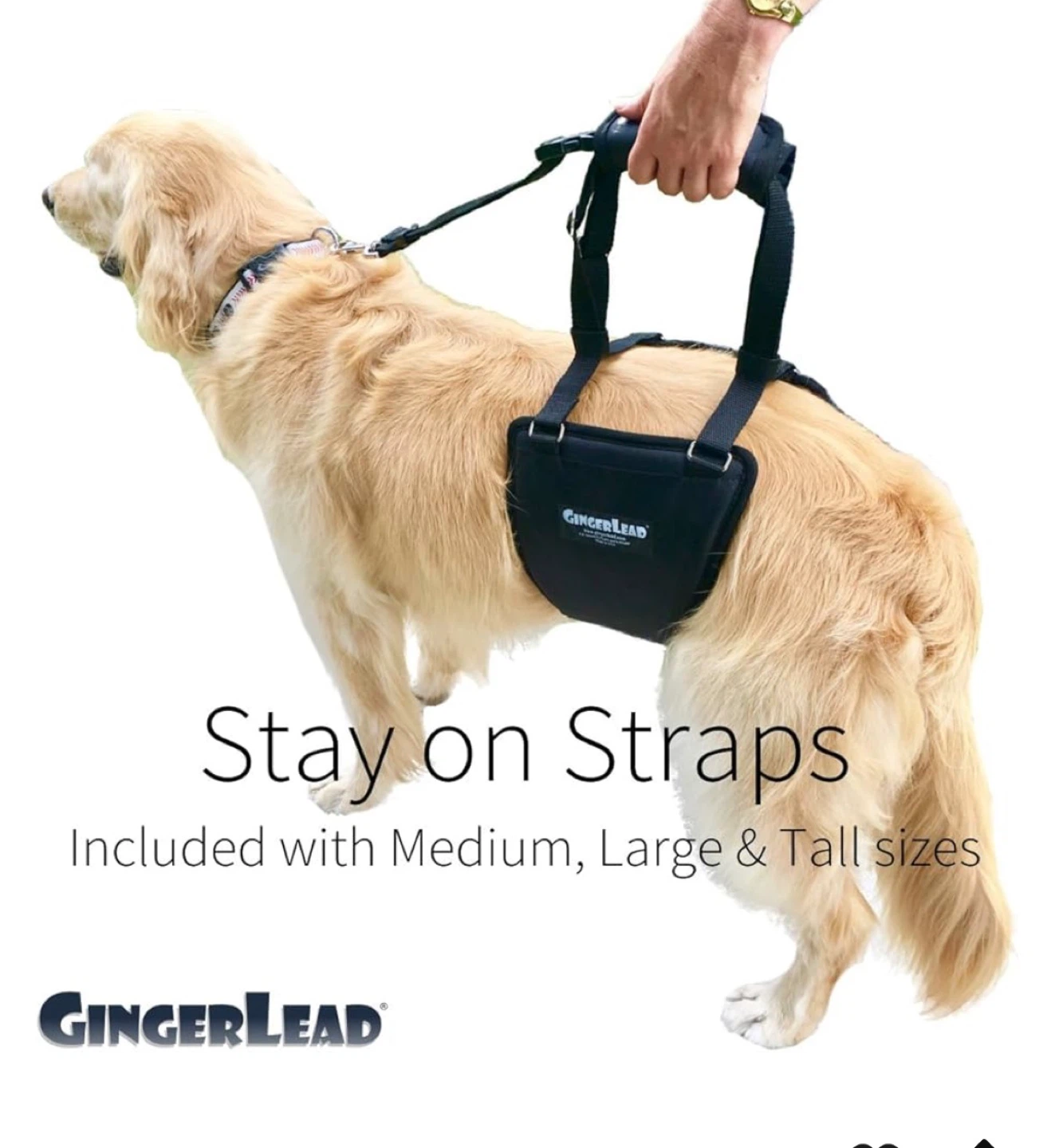 GingerLEAD Dog Lift Harness - Medium/Large - photo 5