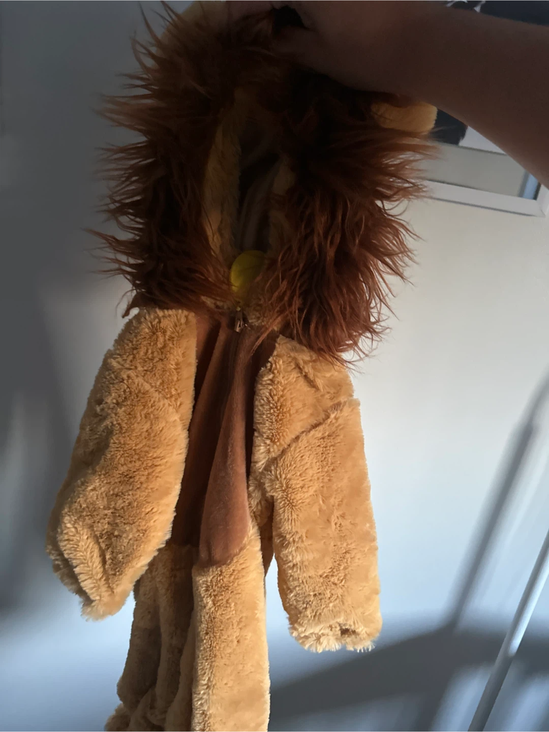 Child's Lion Costume