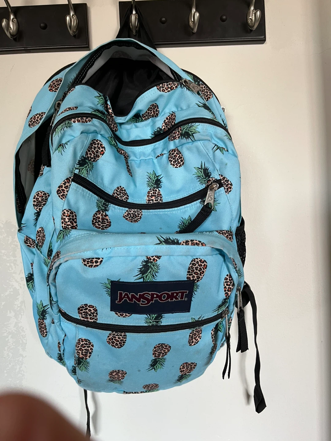 JanSport Back Pack - photo 4