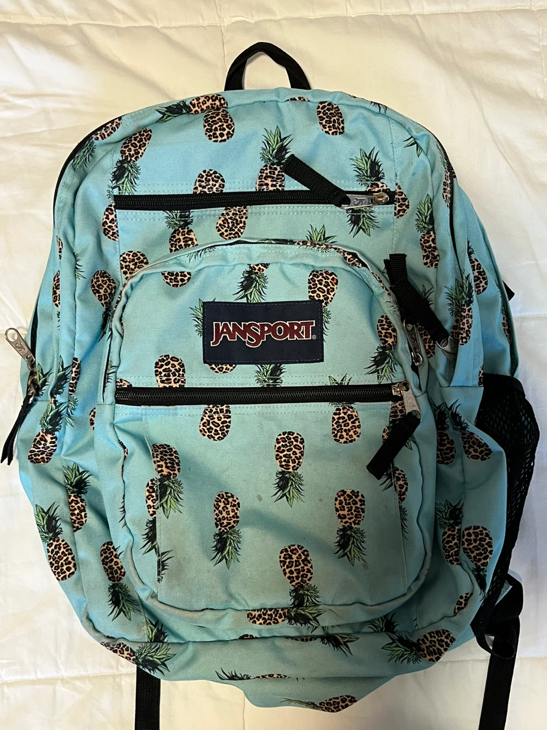 JanSport Back Pack