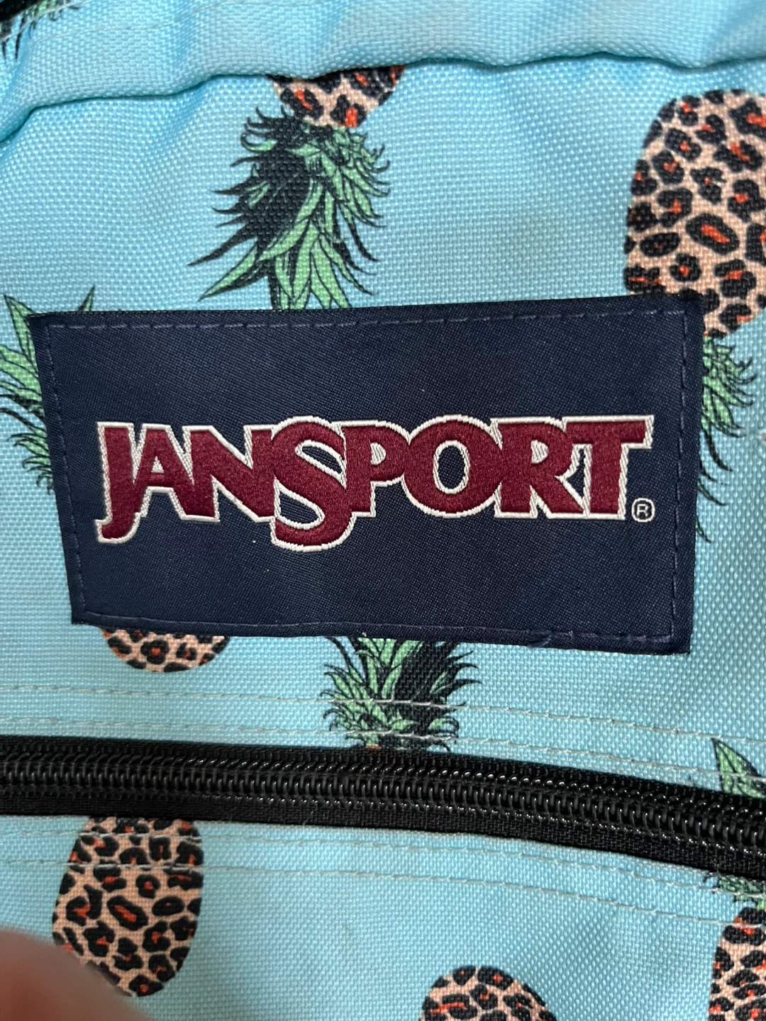 JanSport Back Pack - photo 3