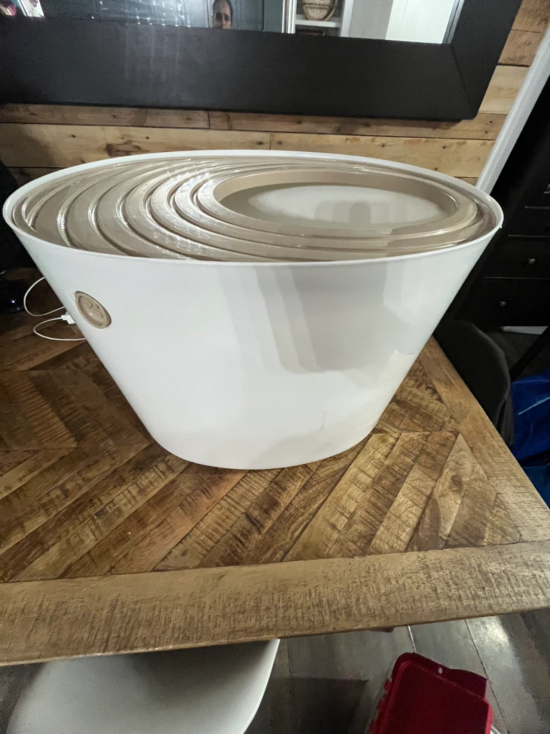 Top entry cat litter box