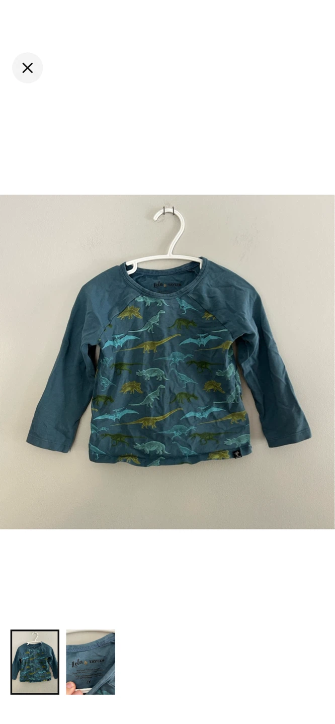 Lola & Taylor Dinosaur Long Sleeve Shirt Size 2Y