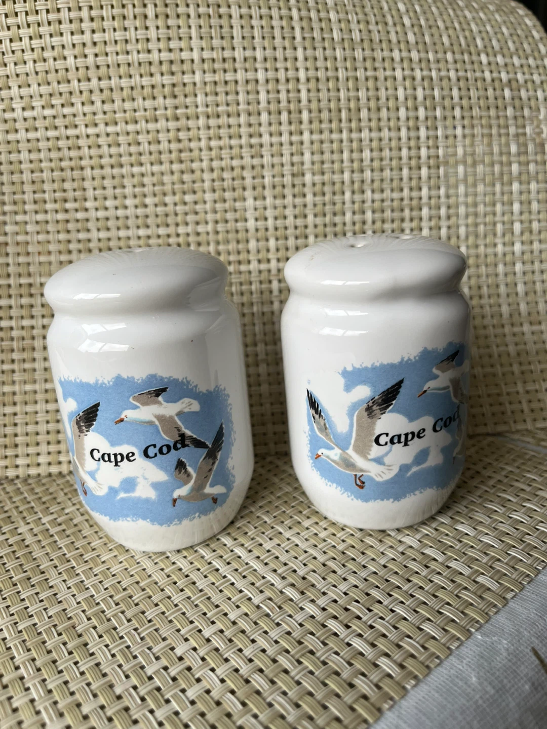 Cape Cod Salt and Pepper Shakers with Seagulls