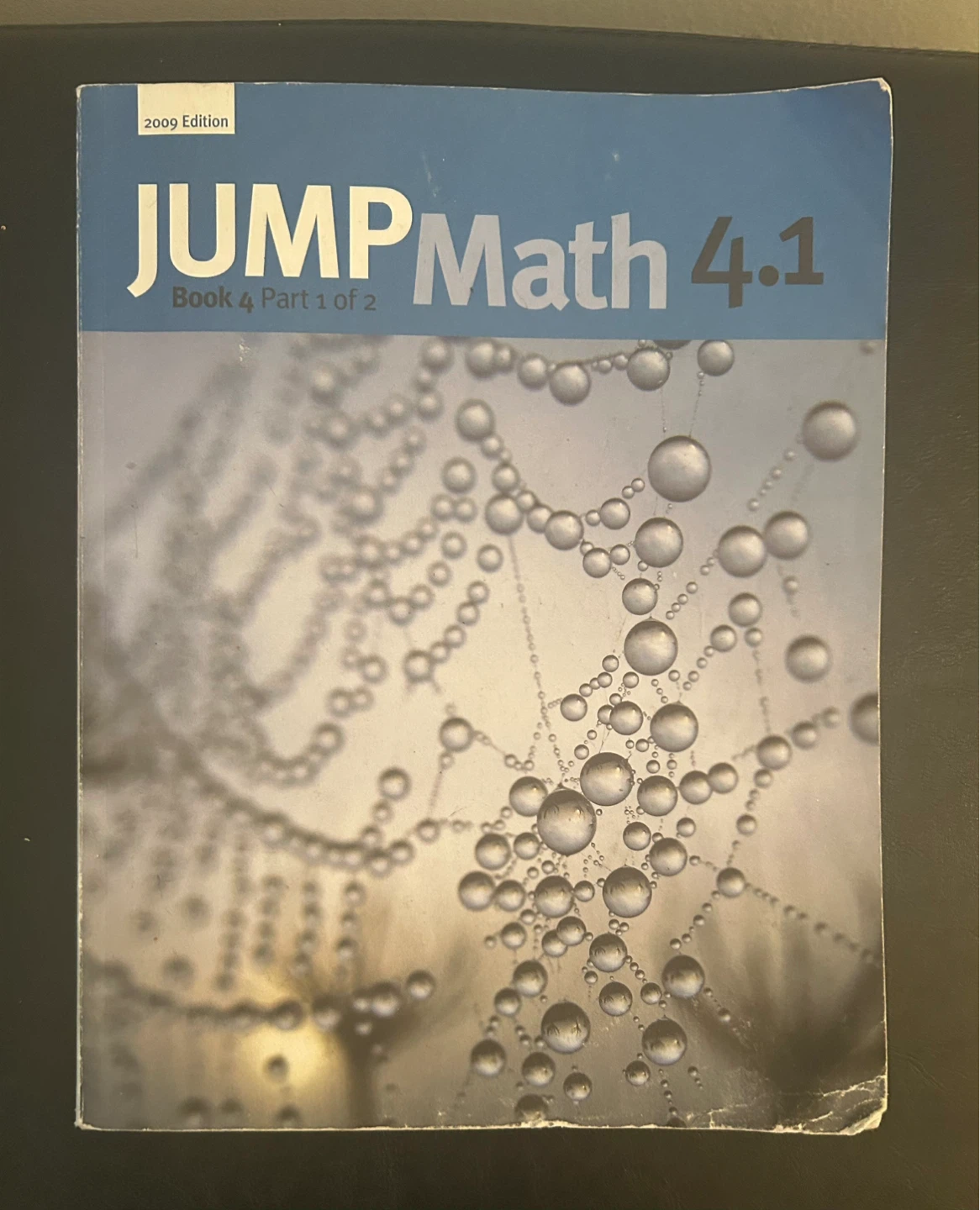 JUMP Math 4.1 Book 4 Part 1 of 2 (2009 Edition)