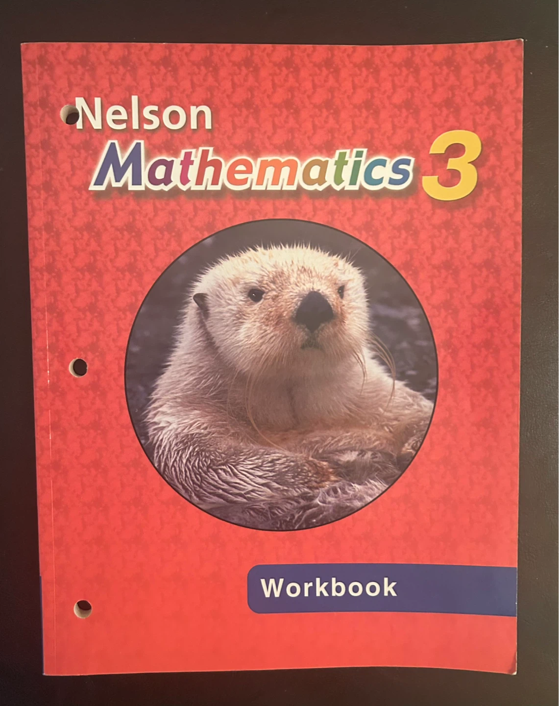 Nelson Mathematics 3 Workbook