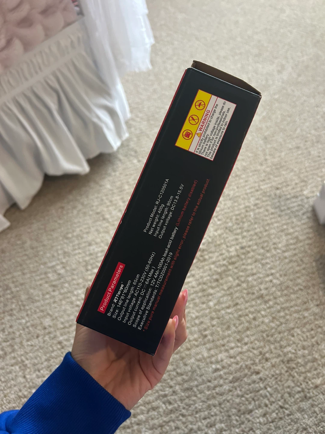 RJ Tianye 12V Intelligent Pulse Repair Charger - photo 2
