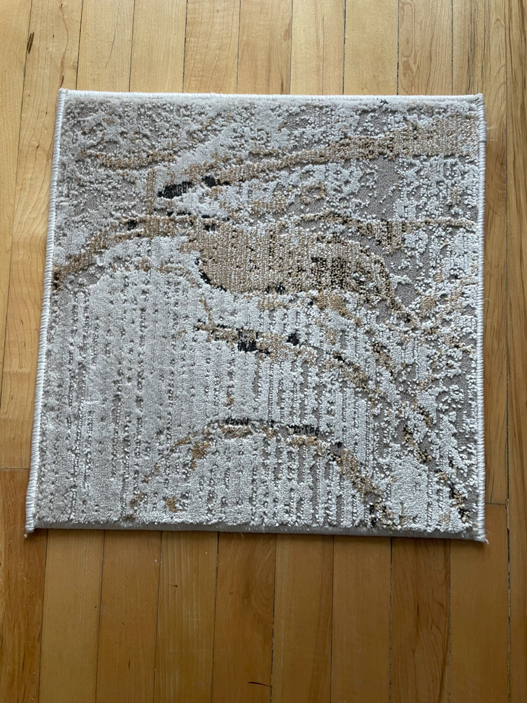 Compact Accent Rug