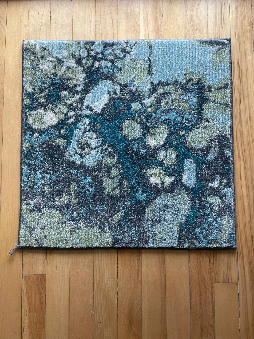 Compact Accent Rug