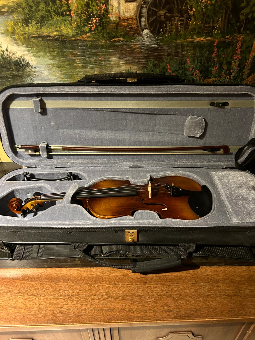 1/2 size Violin with Case and Bow