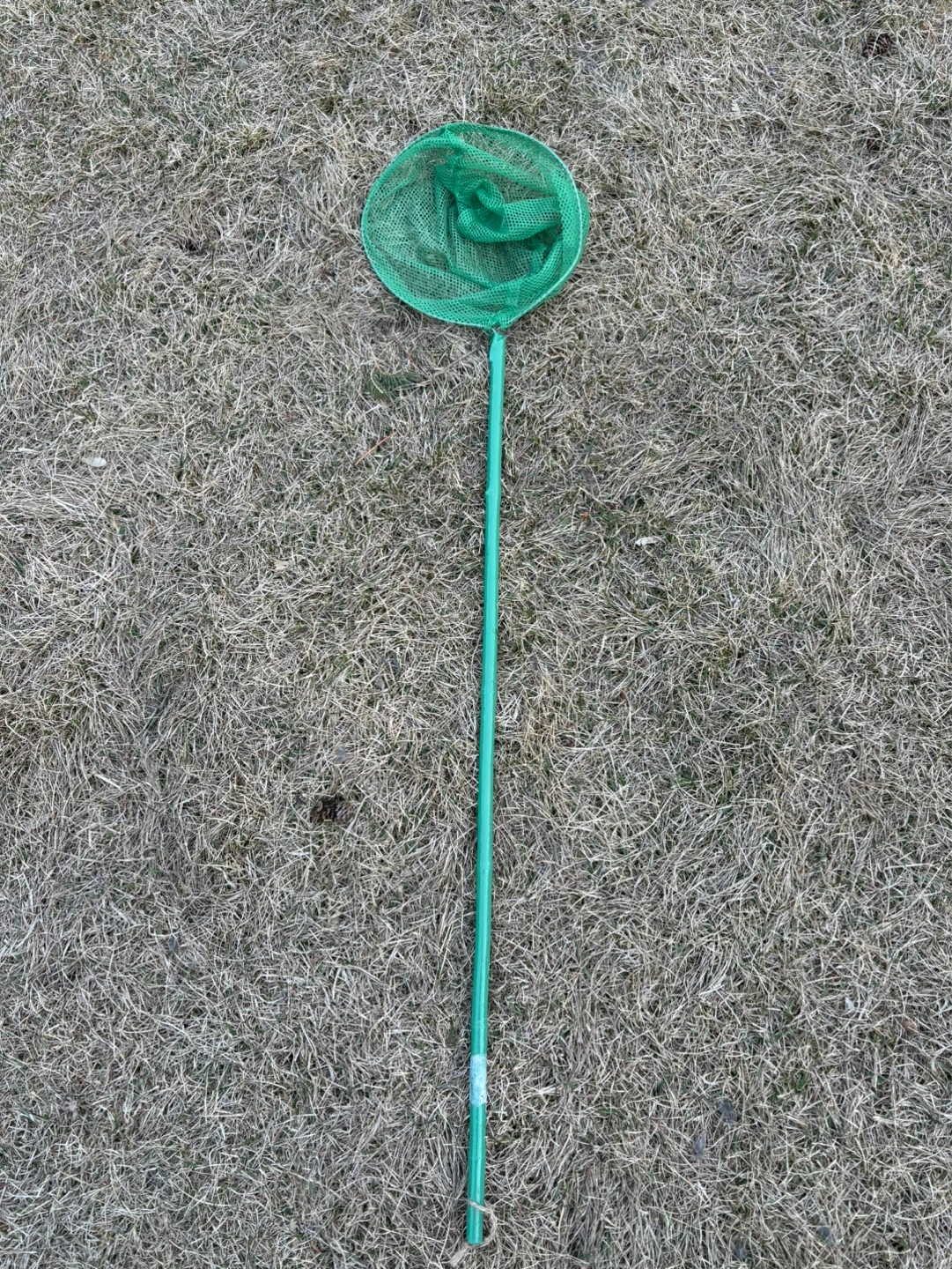 Green Butterfly Net with Handle