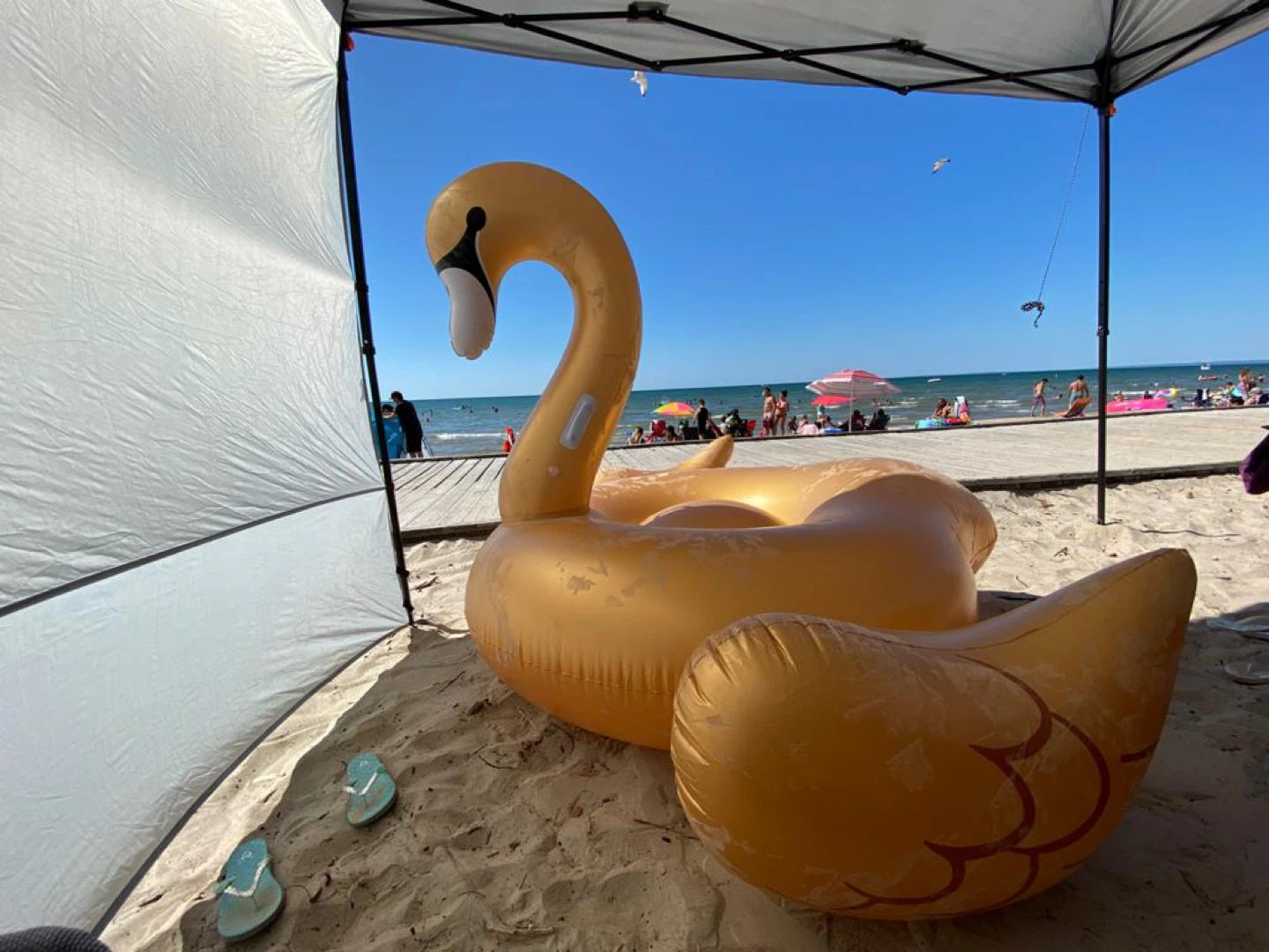 Large Gold Swan Inflatable Pool Float 78" x 63"